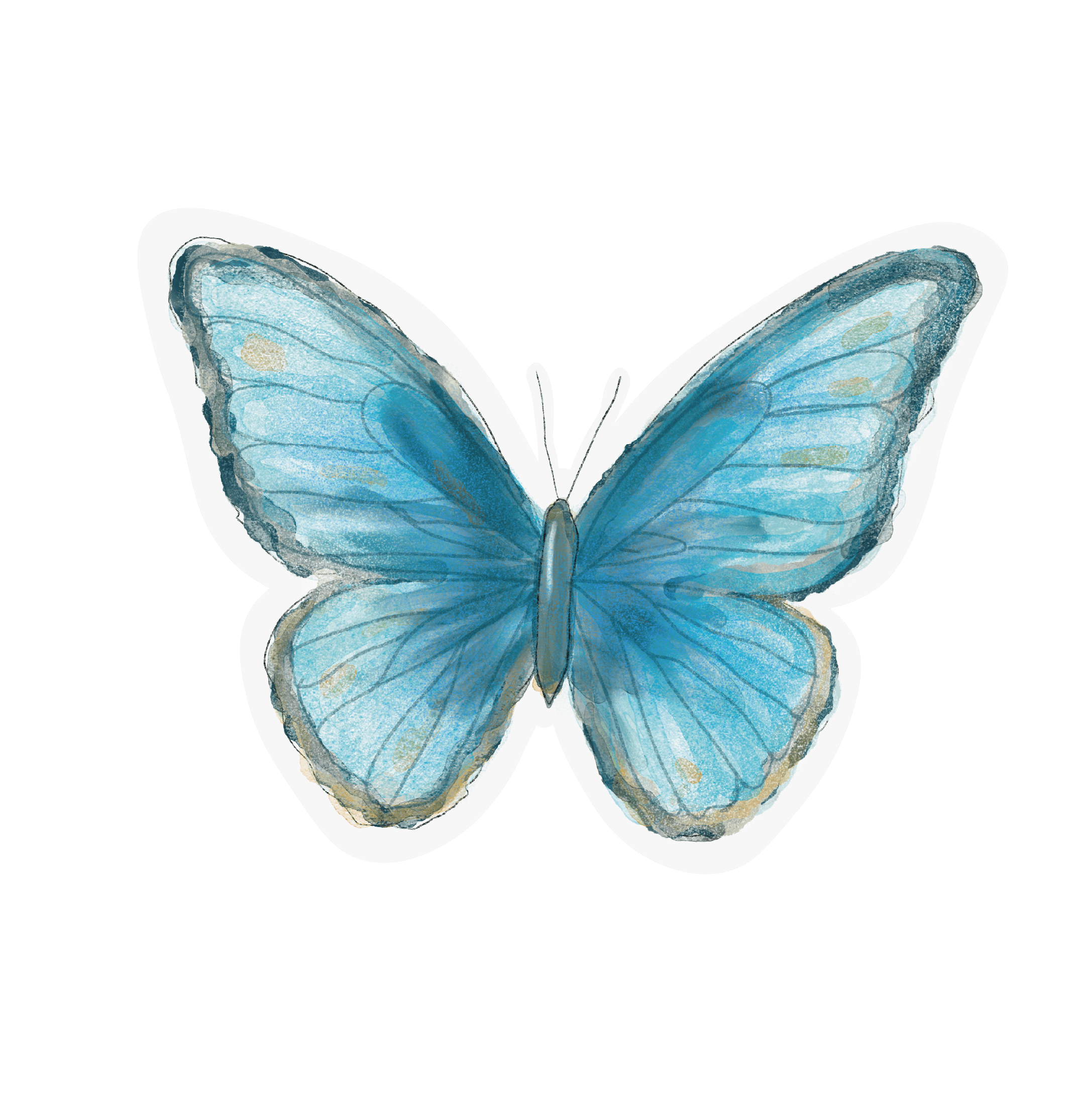 Mariposa